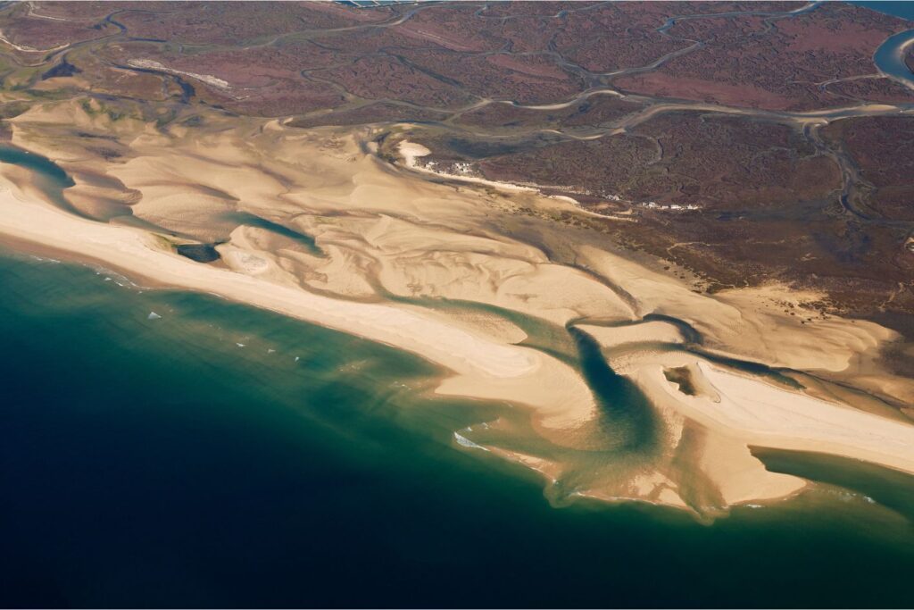 Ría Formosa Natural Park