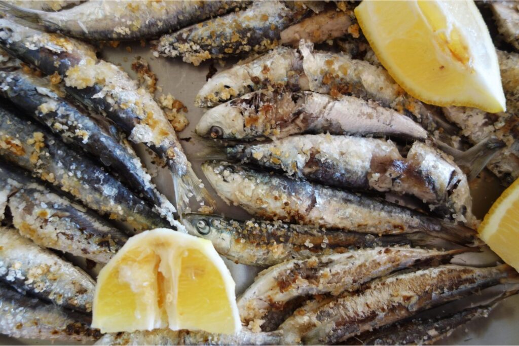 Grilled Sardinas